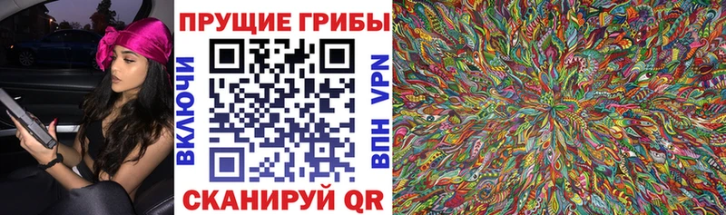 Псилоцибиновые грибы MAGIC MUSHROOMS  как найти наркотики  Сортавала 
